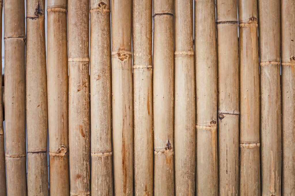 kumpulan bambu